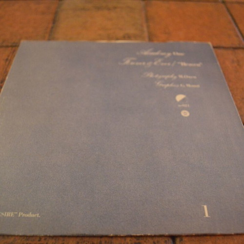 Academy One Forever And Ever 7'' Single used, punk