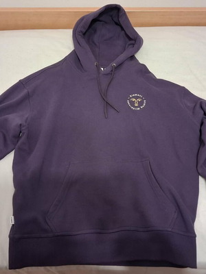 Element men's hoodie small purple Cornell Cipher series new
