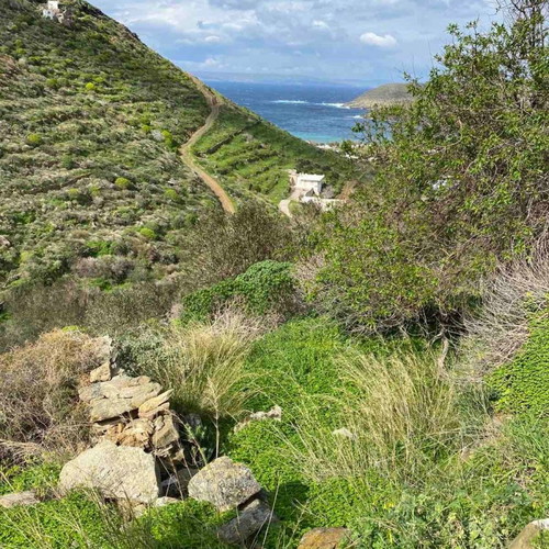 Land with Cell in Sykamia Serifos 2275 sqm Sea View