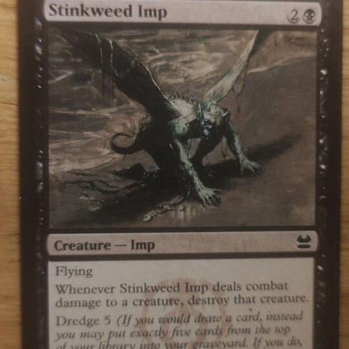 Stinkweed Imp Magic the Gathering card like new, Modern Masters