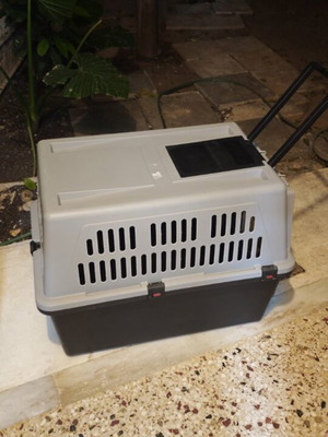 Ferplast pet carrier like new 55×81×58 cm