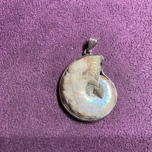 Ammonite pendant new
