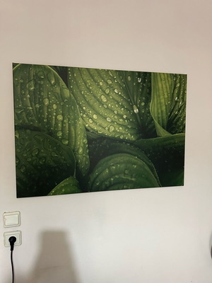 Canvas painting with plants like new