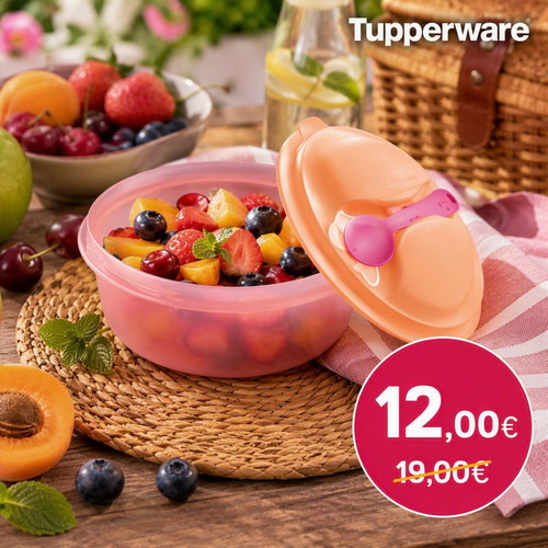 Tupperware Picnic Bowl with Spoon 600ml, new