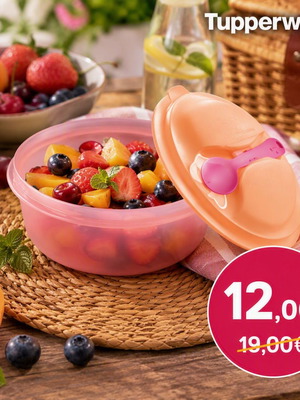 Tupperware Picnic Bowl with Spoon 600ml, new