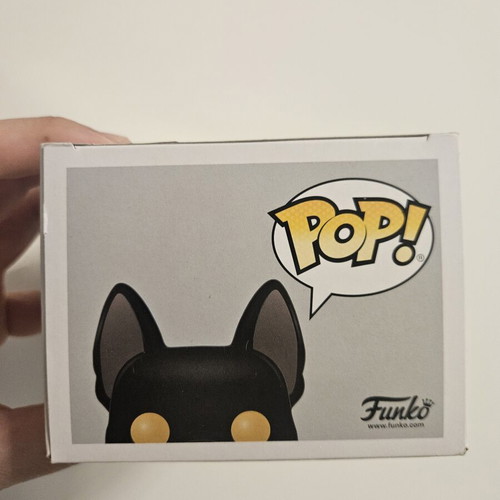 Sirius Black #73 Funko Pop like new
