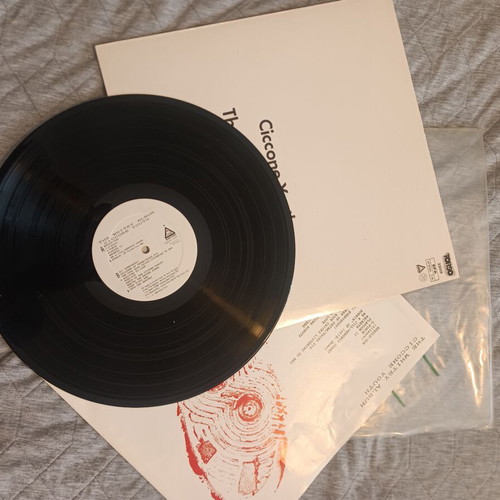 Ciccone Youth The Whitey Album punk vinyl, like new