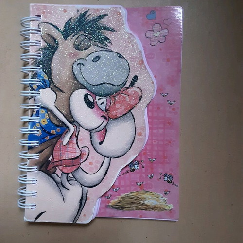 Diddl collectible notebook used