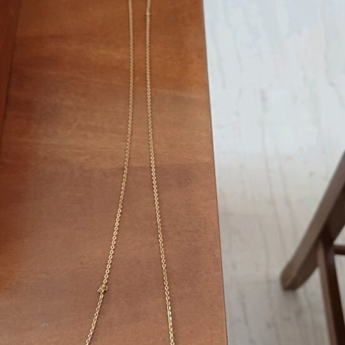 Necklace gold chain with two leaves like new