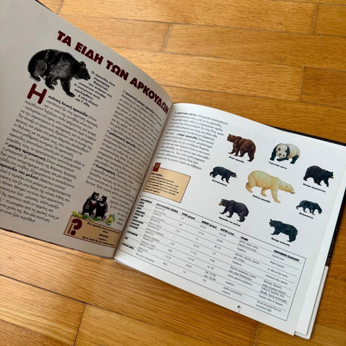 Brown Bear children's book new, hard cover