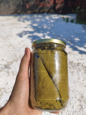 Grape Leaves ready for use, pack of 50, pesticide-free