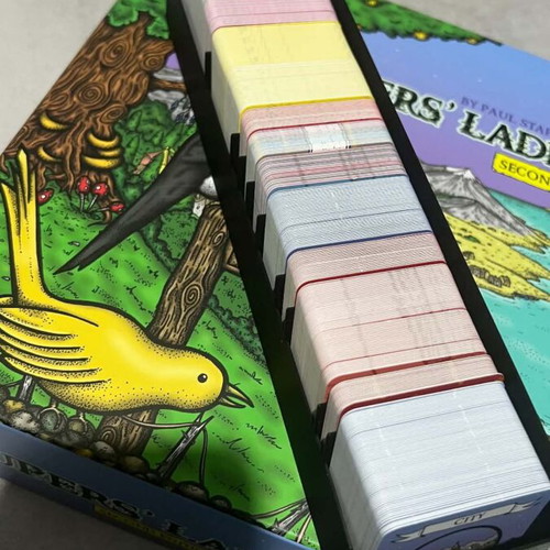 Paupers Ladder 3D printed insert for Flamme Rouge board game