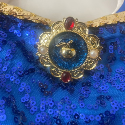 Snow White Costume from Disneyland worn once