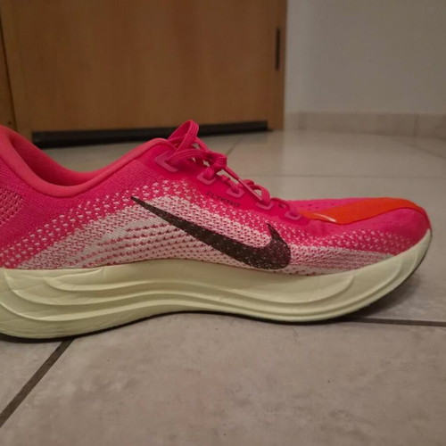 Nike Pegasus Plus running shoes, multicolor, size 44.5