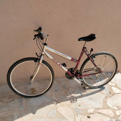 Ideal Pro-Rider Lady mountain bike, 26 inch wheels, silver