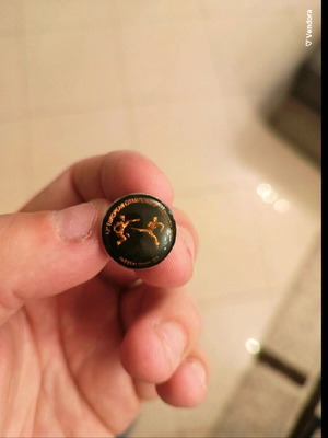 Pin European Champion Taek Won Do used, collectible from 1998