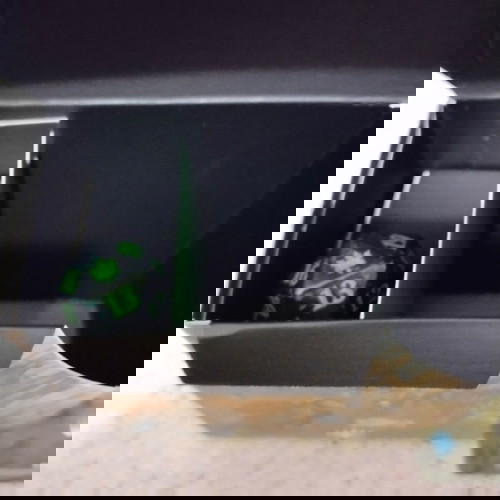 Magic the gathering кутия за съхранение на карти с зар като нова