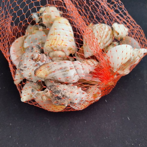 Dichtaki with seashells used