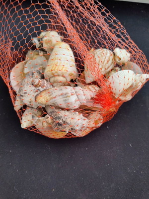 Dichtaki with seashells used