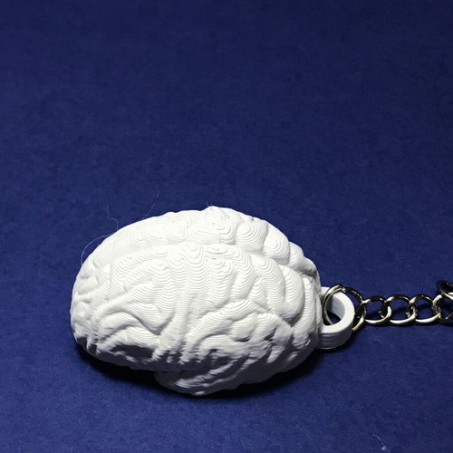 Brain Use It 3D Printed Keychain New