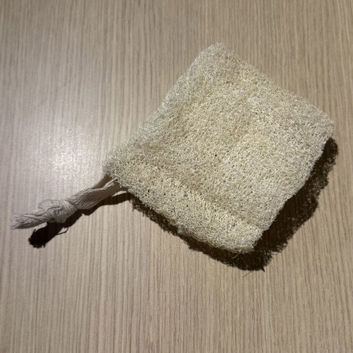 Loofah sponge new