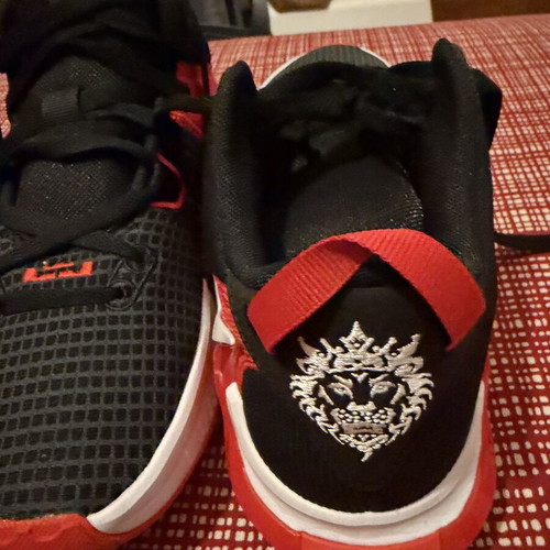 LeBron James Nike athletic shoes new, size 41, black and white