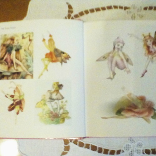 Fairy book like new, small size, hardcover, English