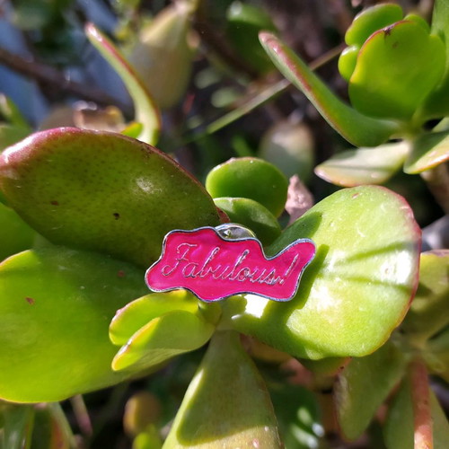 Pin brooch