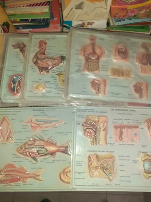 3D vintage general theme cards new, pack of 5 pieces