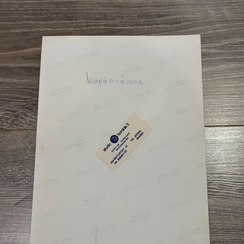 Large rare collectible photo Vasilis Karapialis AEL like new