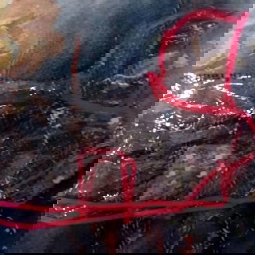 Дъждобран за куче нов с розов кант