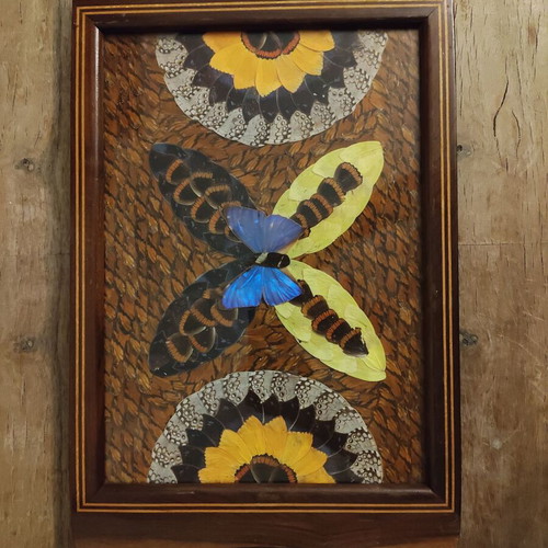 Handmade wooden serving tray with real butterfly wings, used