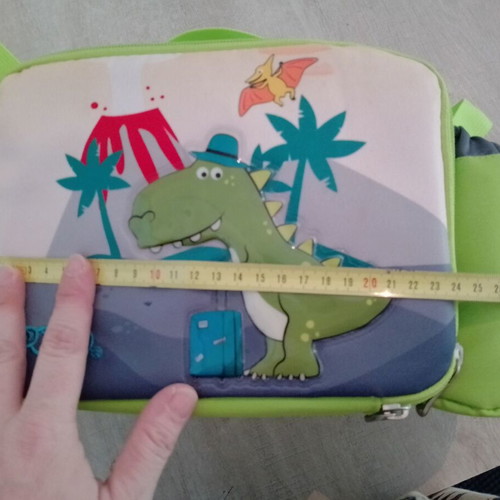Insulated lunch bag and small backpack like new