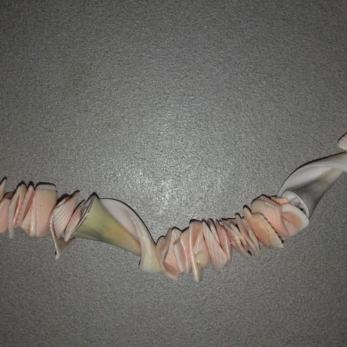 Necklace made of natural shells new, pink and orange