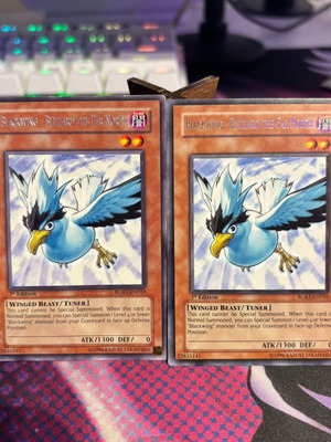 Blackwing Blizzard the Far North 1st Edition RGBT-EN010 like new, 2 Yu-Gi-Oh cards