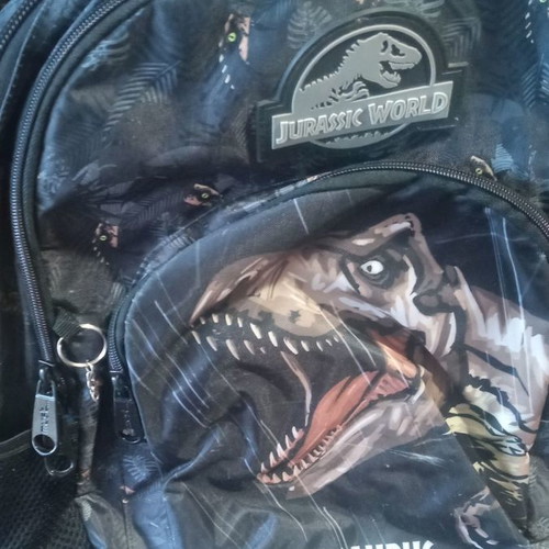 School bag used with Tyrannosaurus Rex dinosaur design
