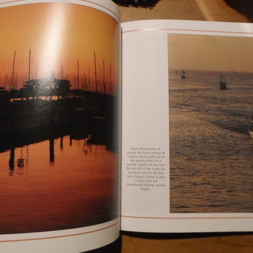 The heart of TEXAS book used