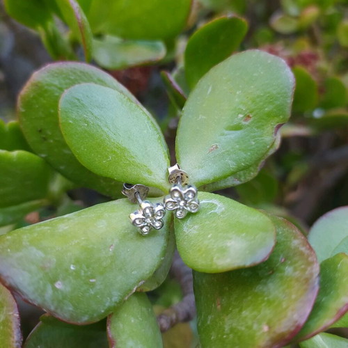 Silver 925 earrings with different clasp