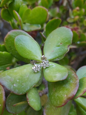 Silver 925 earrings with different clasp