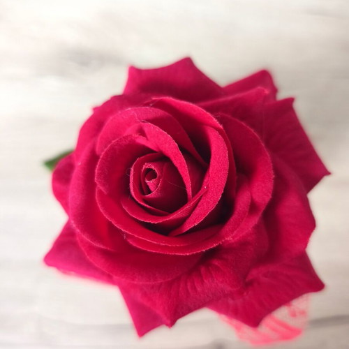 Decorative red rose like new, velvet texture