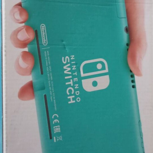 Nintendo Switch Lite console with charger and special controllers