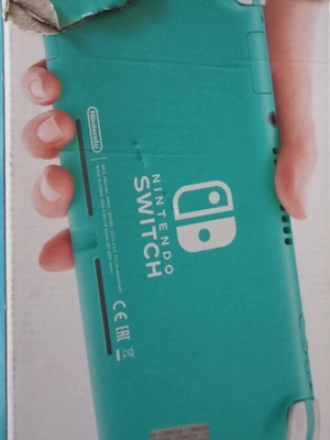 Nintendo Switch Lite console with charger and special controllers
