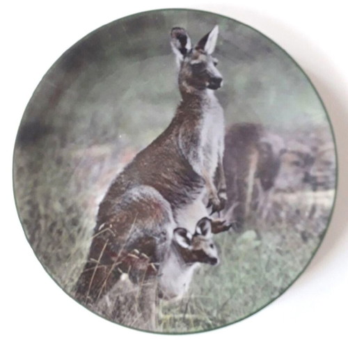 Decorative 19th century English platter with kangaroo painting