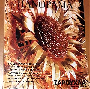 Ελληνικό πανόραμα, τεύχος 49, έτος 4ο, Ιανουάριος Φεβρουάριος 2006