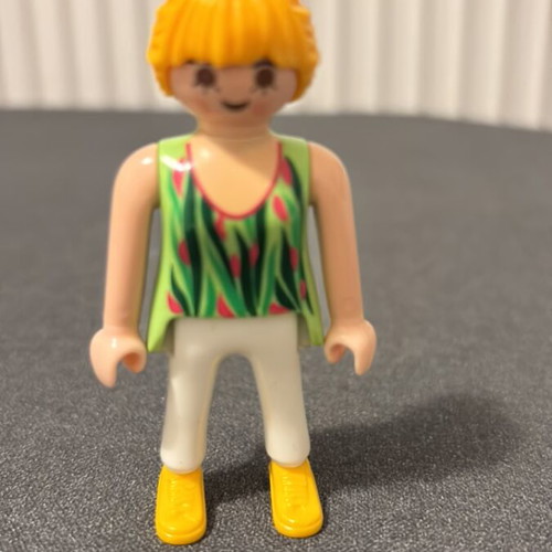 Playmobil used