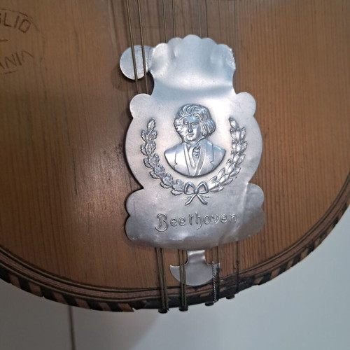 Rare Italian Mandolin used, handmade, collectible