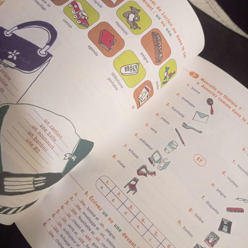 Ludo et Nefeli teacher's book A1 like new, French