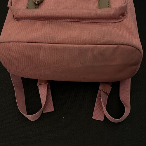 Herschel Little America backpack 21L, ash rose