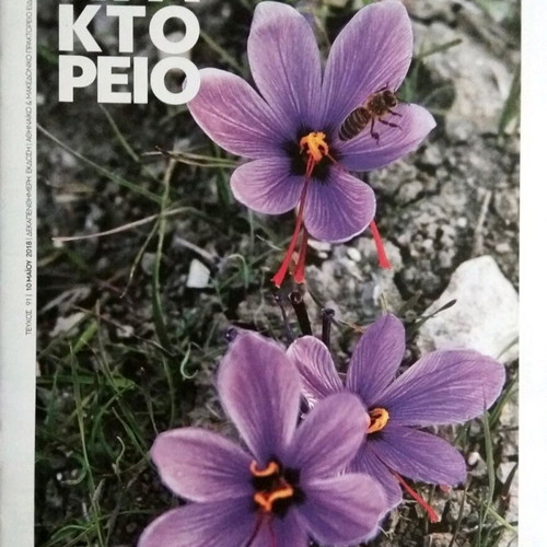 Praktoreio Magazine Issue 91 New