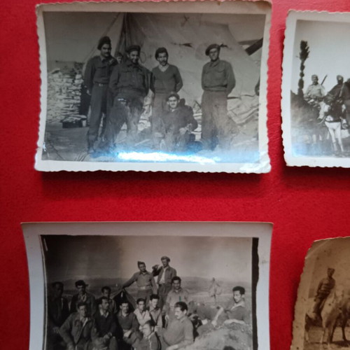 Lot of 7 collectible military photos used